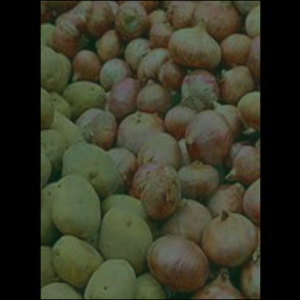 onionpotato_original_copy_2_copy_1_copy_1_copy_1